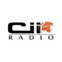 CII - Channel Islam International
