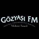 Radio Gozyasi